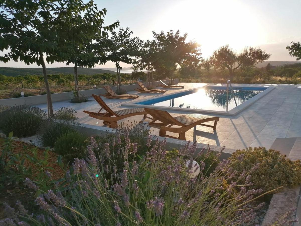 Villa Jelena Zadar Exterior foto